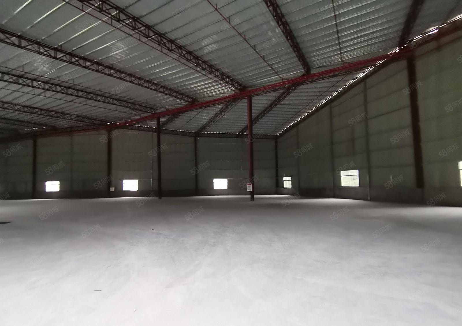 官井头宏骏工业园房东独栋2500平红本标准仓库厂房出租可分租