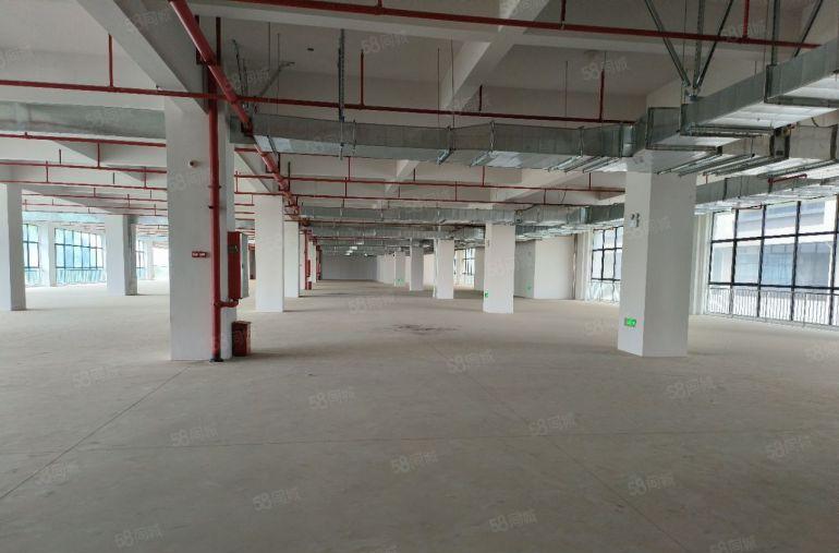 9.9凤岗全新原房东红本厂房仓库出租3吨货梯3部1000平分