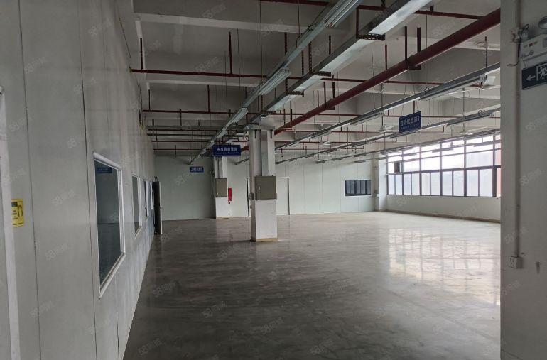 凤岗镇中心高大上园区出租1万平米带现成装修