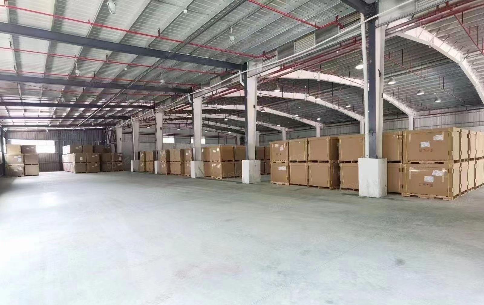 凤岗金凤凰8米高独院钢构3000平方厂房仓库出租