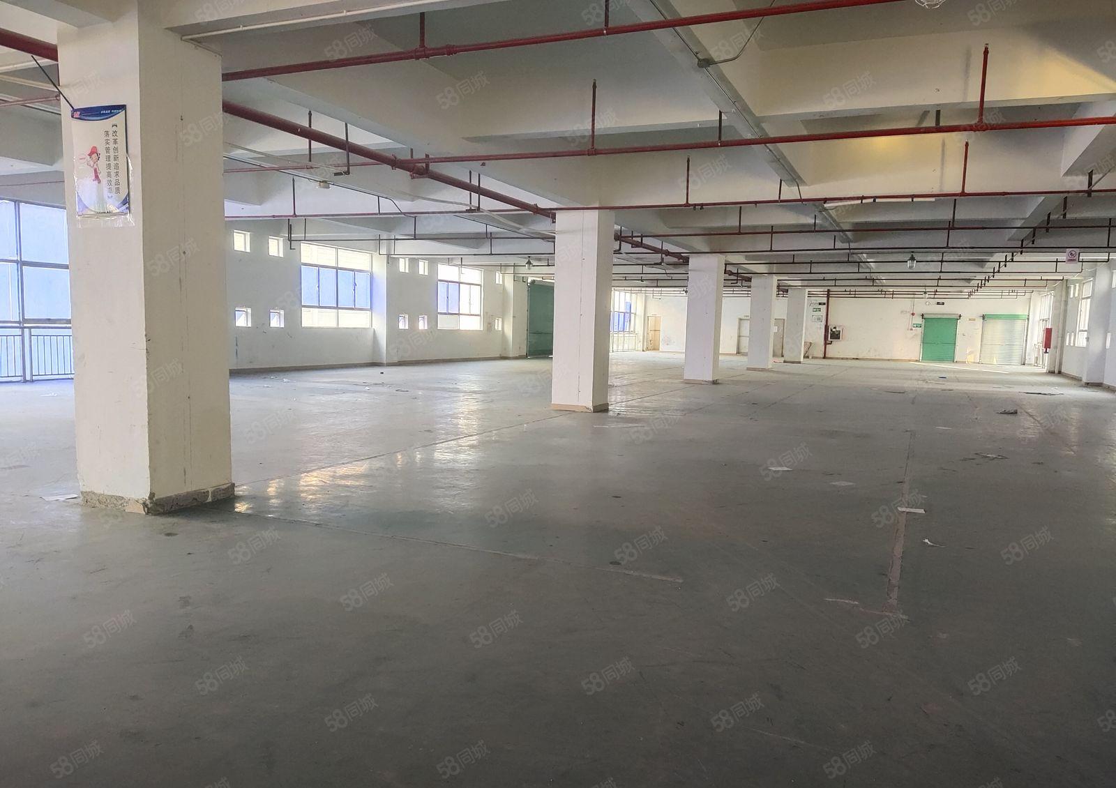 凤岗宏盈工业区独院2百5百8百1千平原房东仓库厂房出租可分租