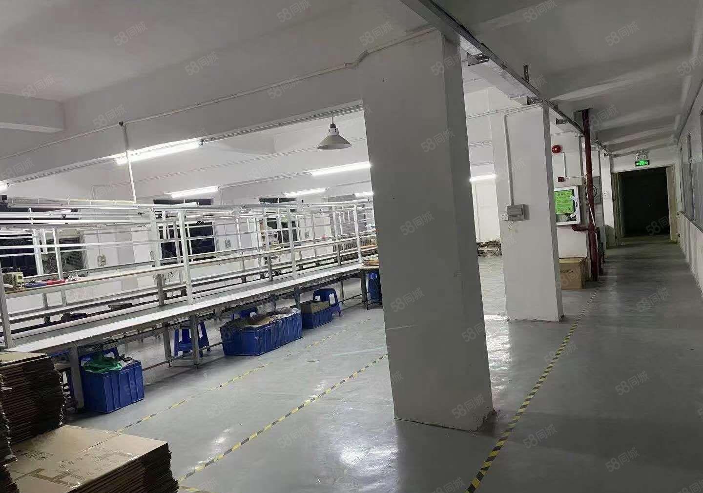 凤岗楼上500平方（办公家具免费送）