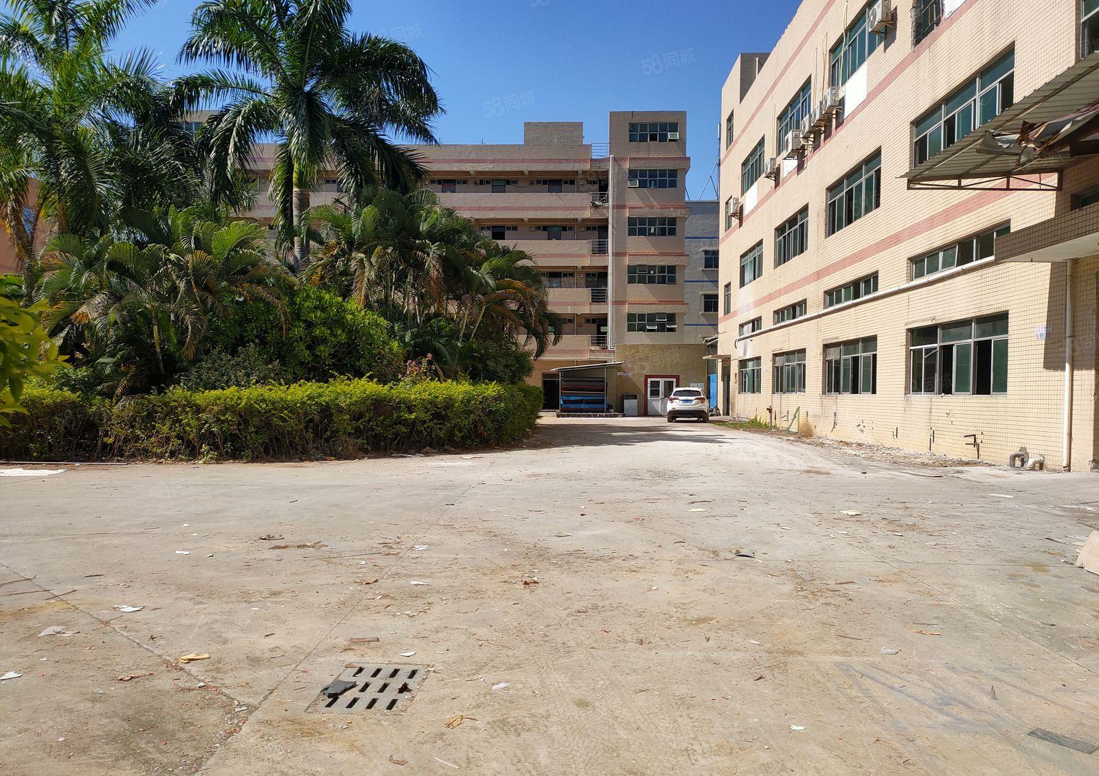 凤岗（临深）六米高一楼2000平花园式 厂房出租 带红本