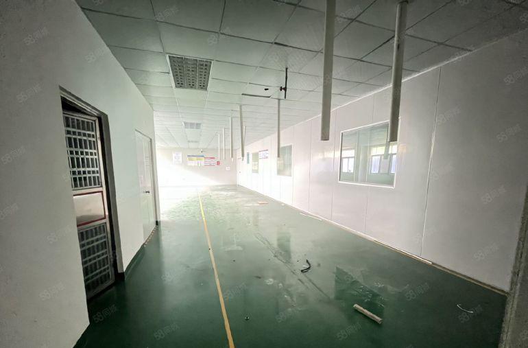全新地坪漆天花吊顶现成装修办公室厂房出租1250平凤岗黄洞