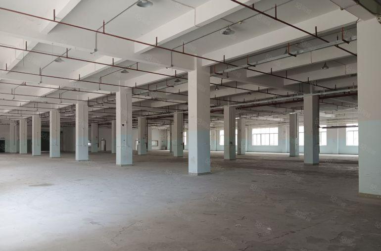 凤岗五联碧湖大道边原房东厂房一楼4000平出租，带办公室装修