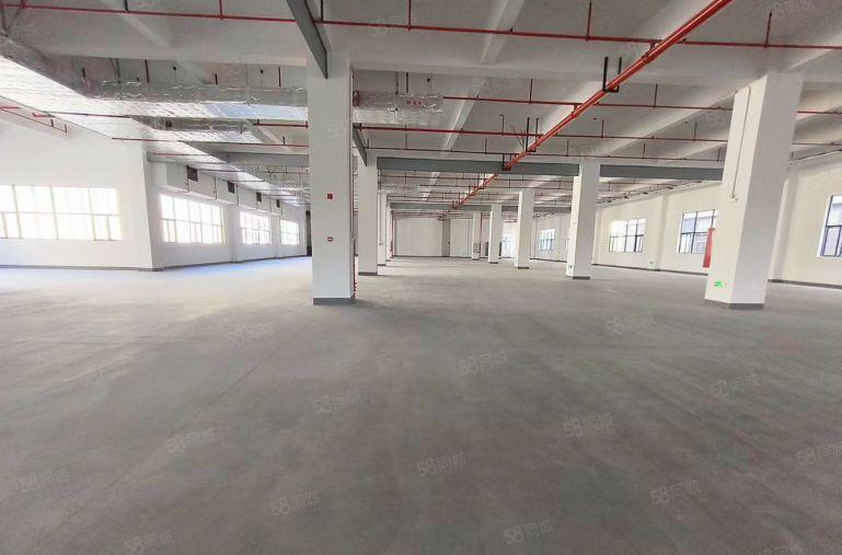 凤岗原房东实际面积出租，价格实惠。