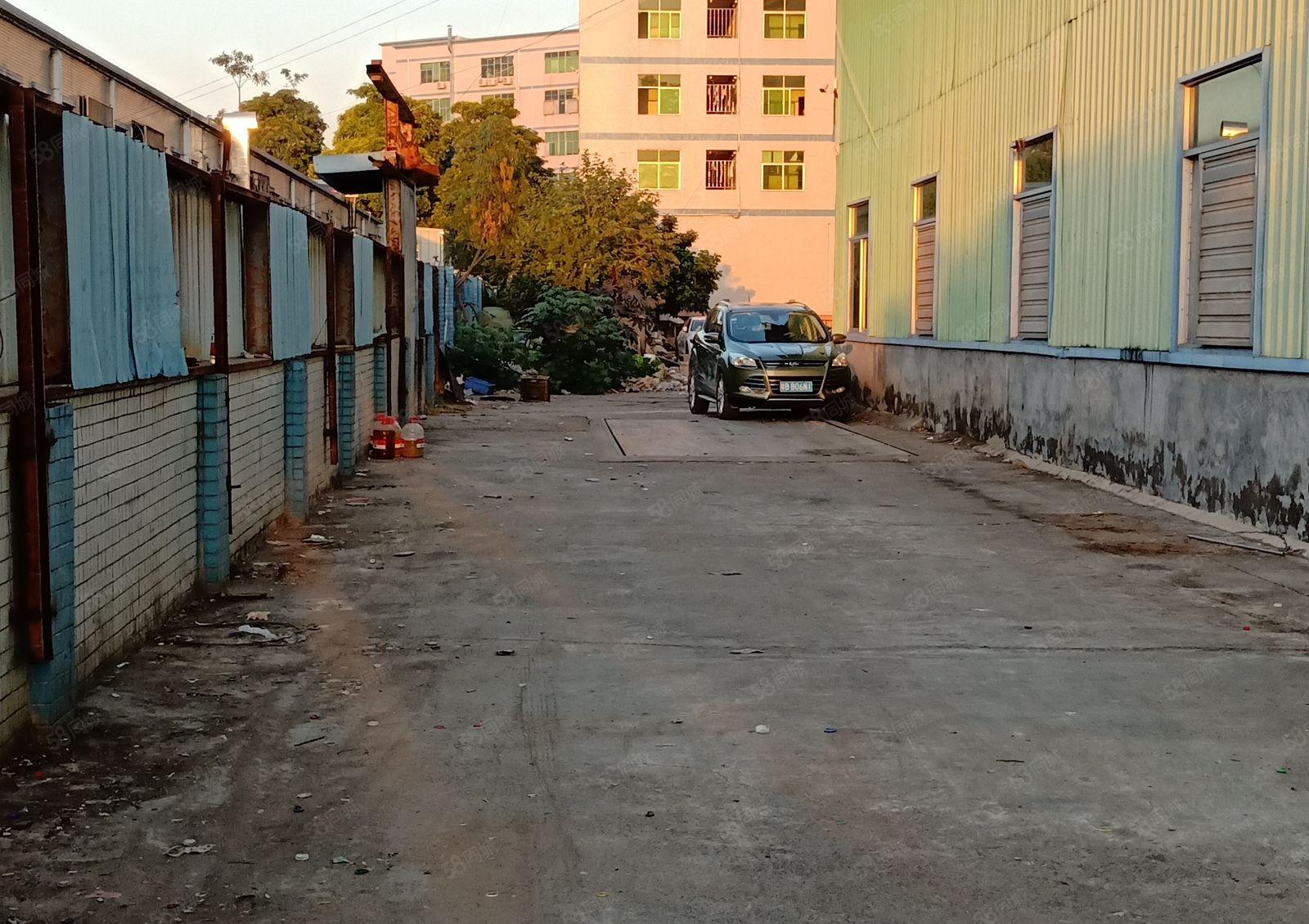 大型园区单层6米钢结构厂房业主直租25000平米可分500平