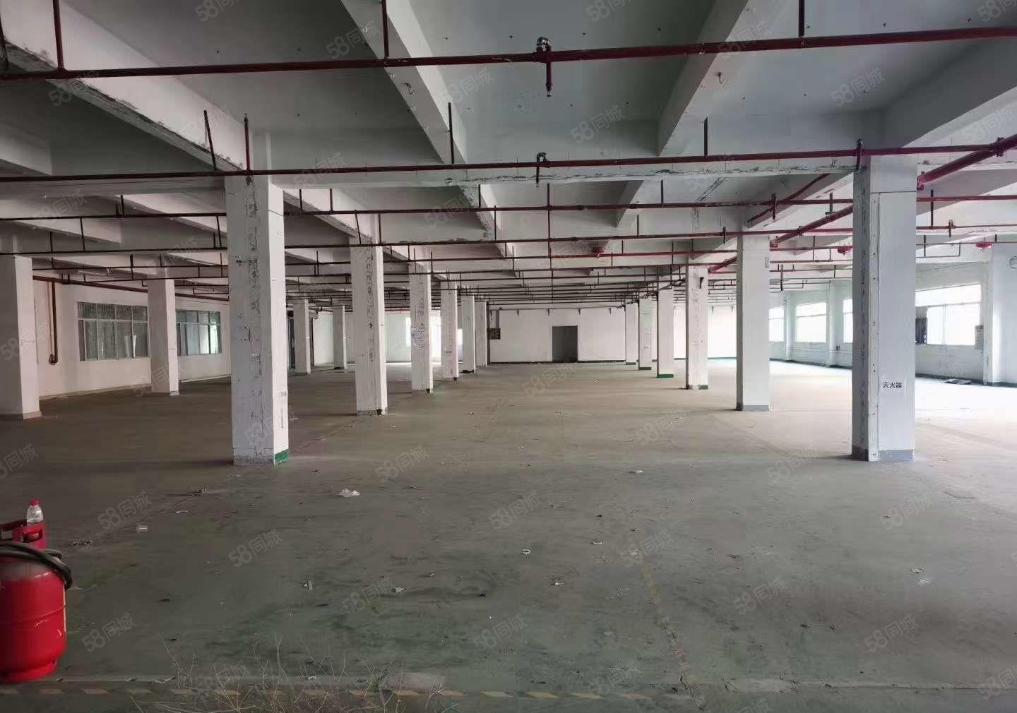 超大空地 凤岗金凤凰独院厂房出租10800平可分 适合各行业