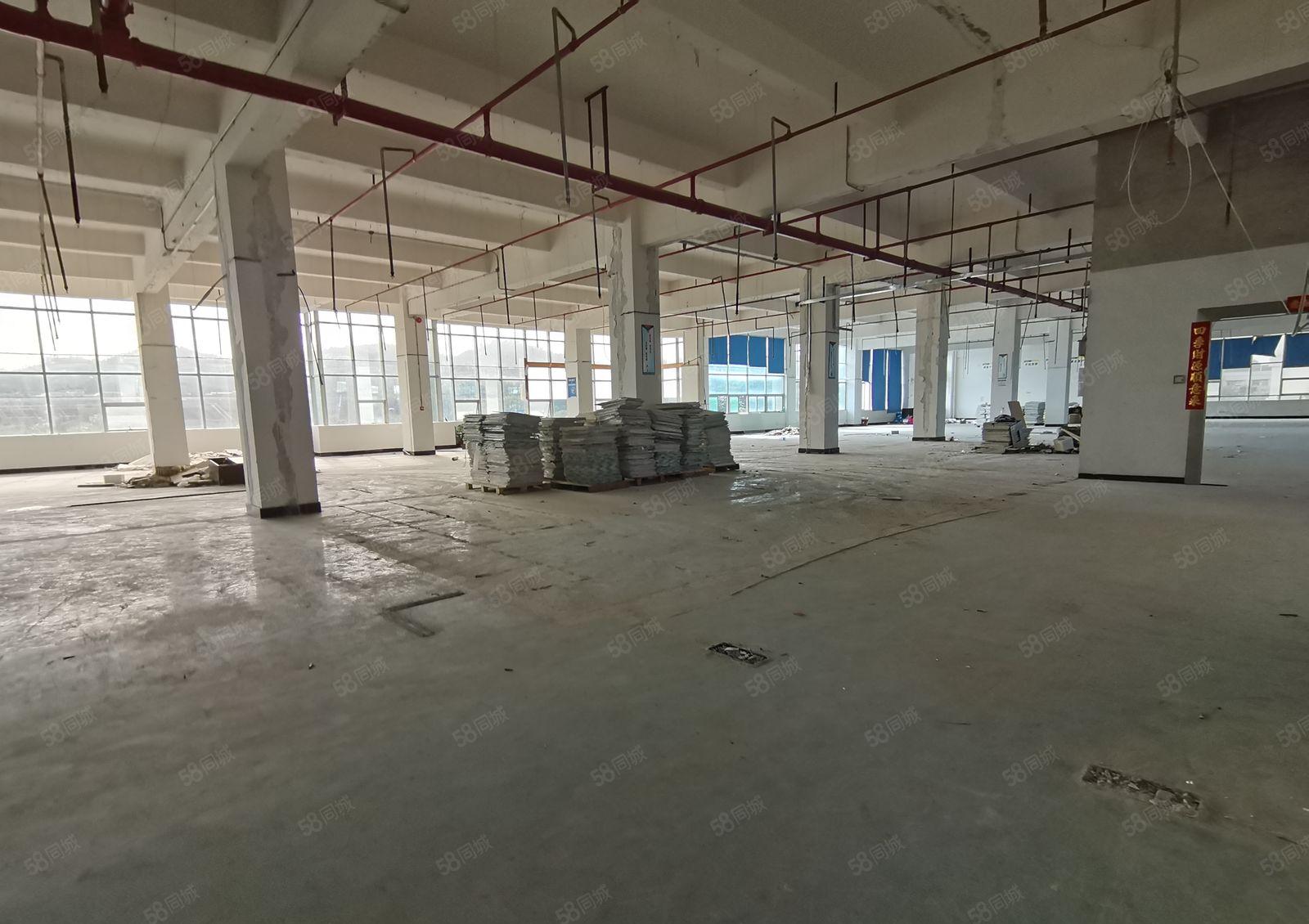 凤岗雁田布心工业区原房东3000平独栋红本仓库厂房出租可分租