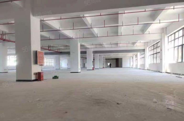 凤岗金凤凰全新原房东独门独院工业园分租一千起.可以电商仓库