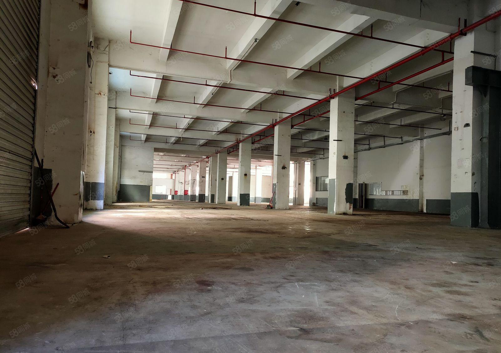 金凤凰一楼7米高 现成办公室 带消防喷淋 离东深线300米