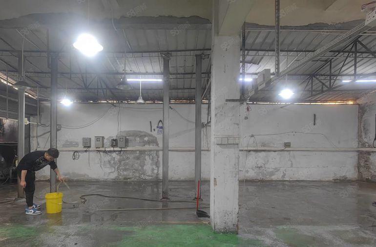 凤岗临深一楼小面积百平