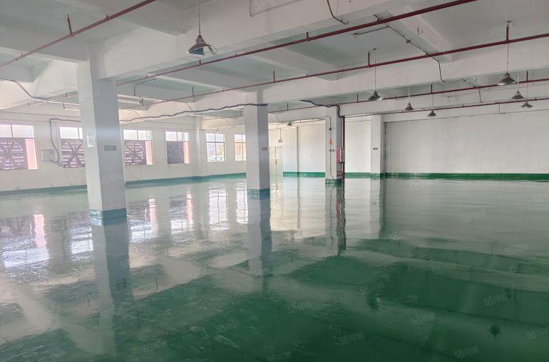 凤岗金凤岗新出3楼800平标准厂房出租，带装修办公室地坪漆