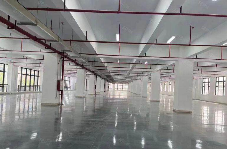 原房东凤岗雁田首层7米高单层2600平实际面积低价出租