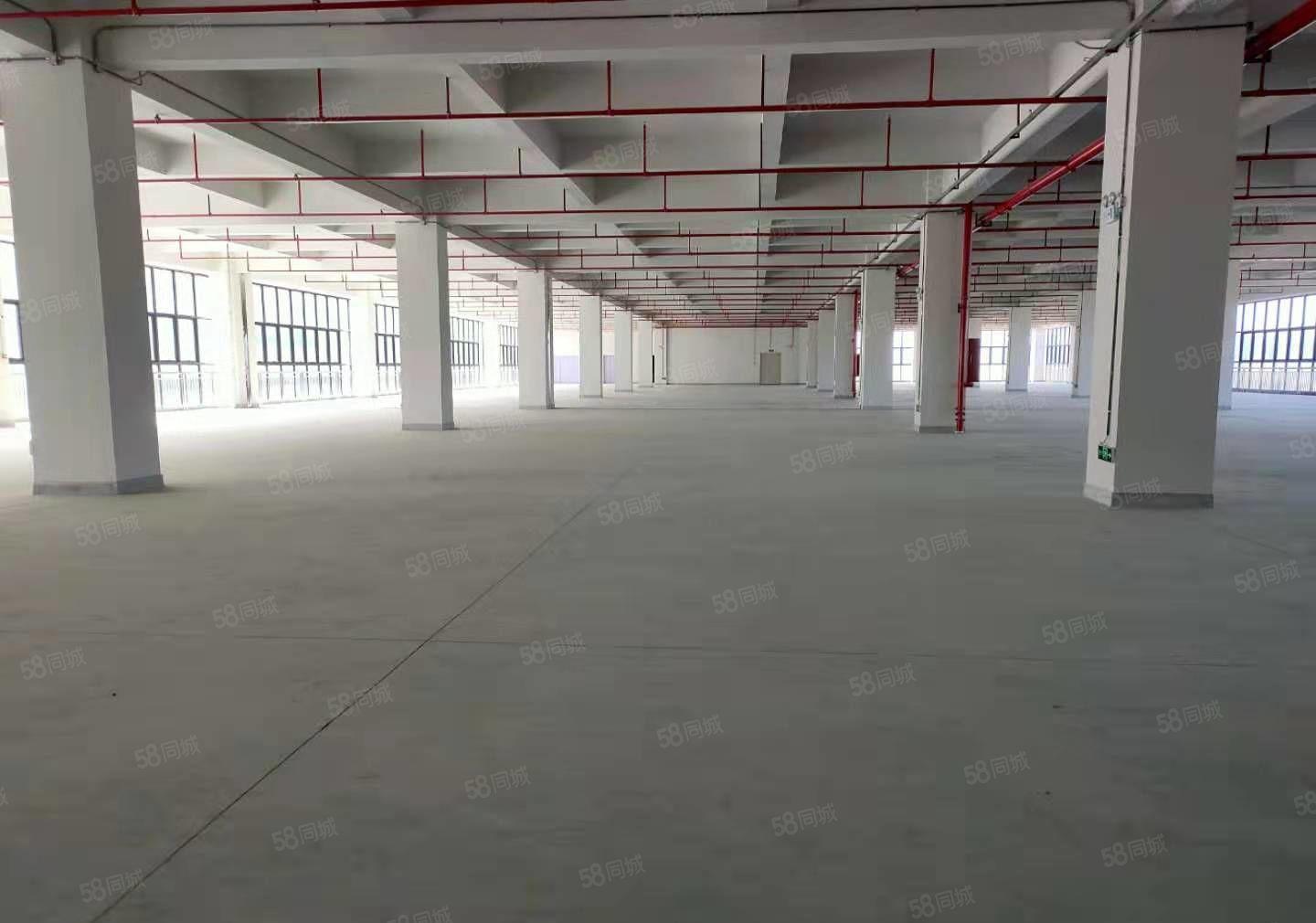 东莞塘凤清高速路出口带红本高新产业园厂房出租楼上5000平方