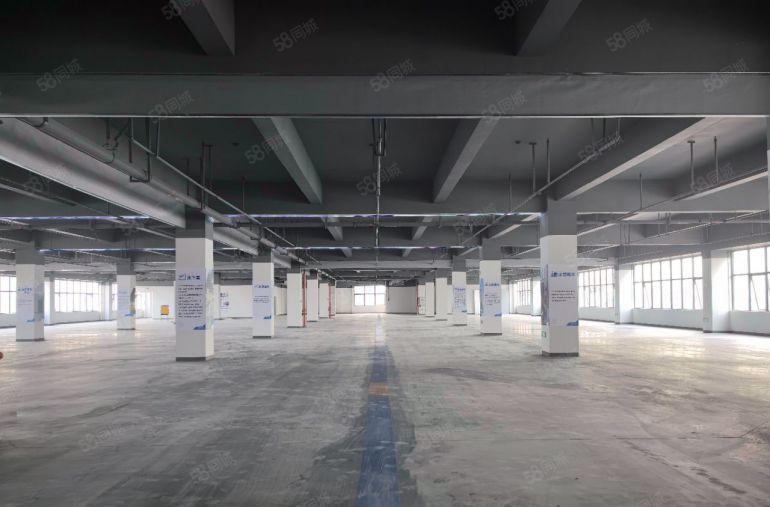 凤岗金凤凰原房东楼上5000平整层，可分租，全新厂房带卸货平