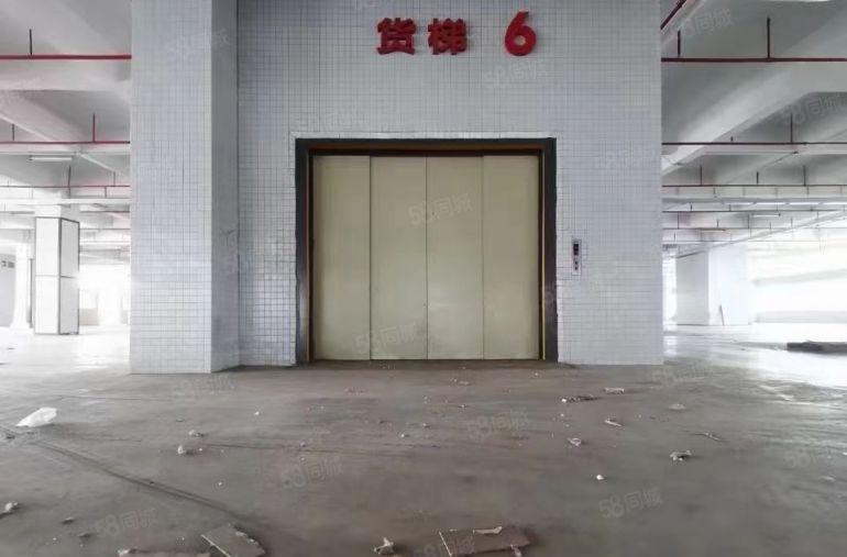 凤岗原房东独院单层10000平物流仓库9米高升降卸货平台出租