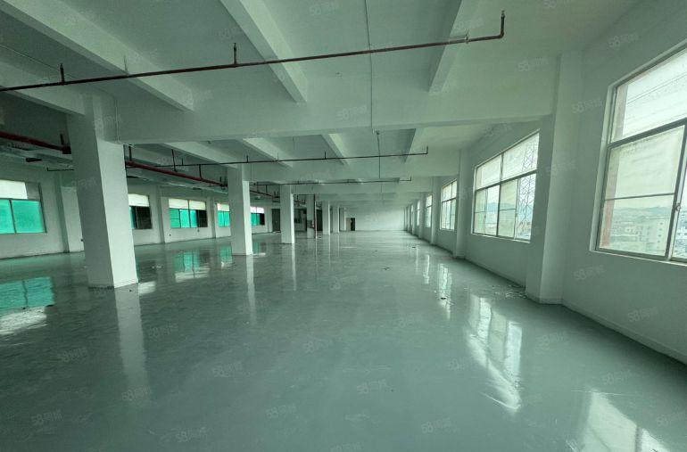 凤岗油甘埔原房东厂房出租1200平全新装修靠近主路配两吨货梯