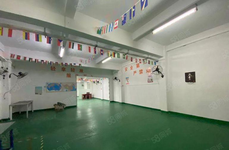 凤岗豪华装修550平厂房出租，全新地坪漆带吊顶，独门独院