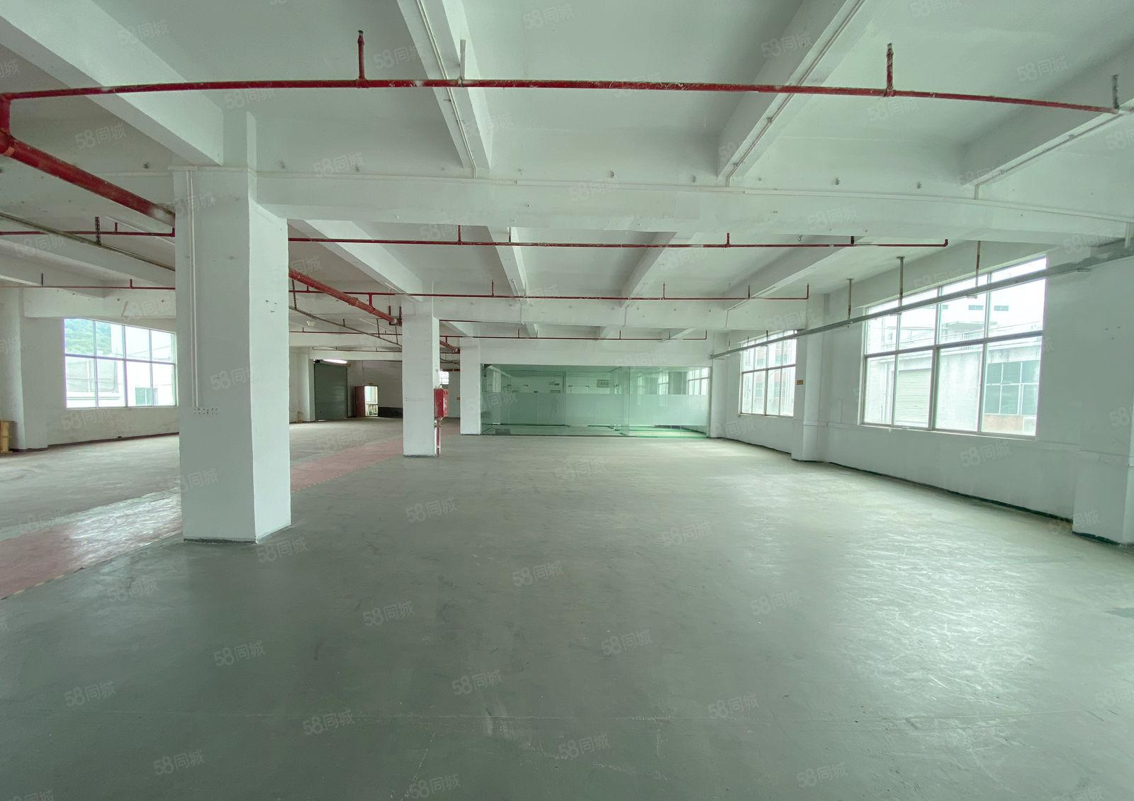 凤岗金凤凰工业区楼上1300平厂房出租现成办公室水电