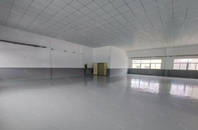 无公凤岗雁田1500平原房东尾盘低价出租，层高4米全新地坪漆