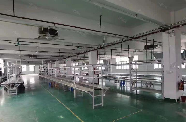 凤岗雁田新出楼上2600平厂房仓库出租，现成装修拎包生产