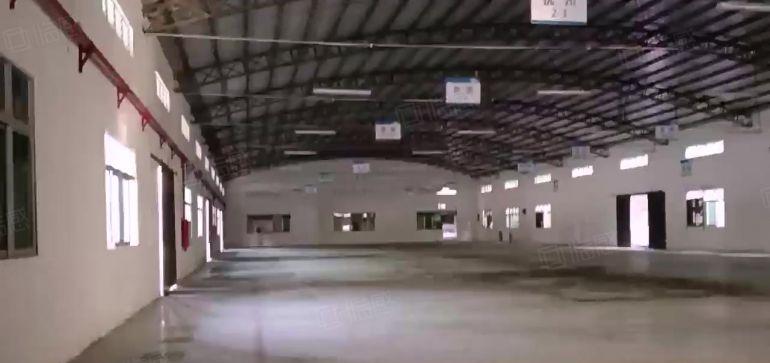 单层钢构3600平原房东无公摊带卸货平台靠近深圳滴水8米