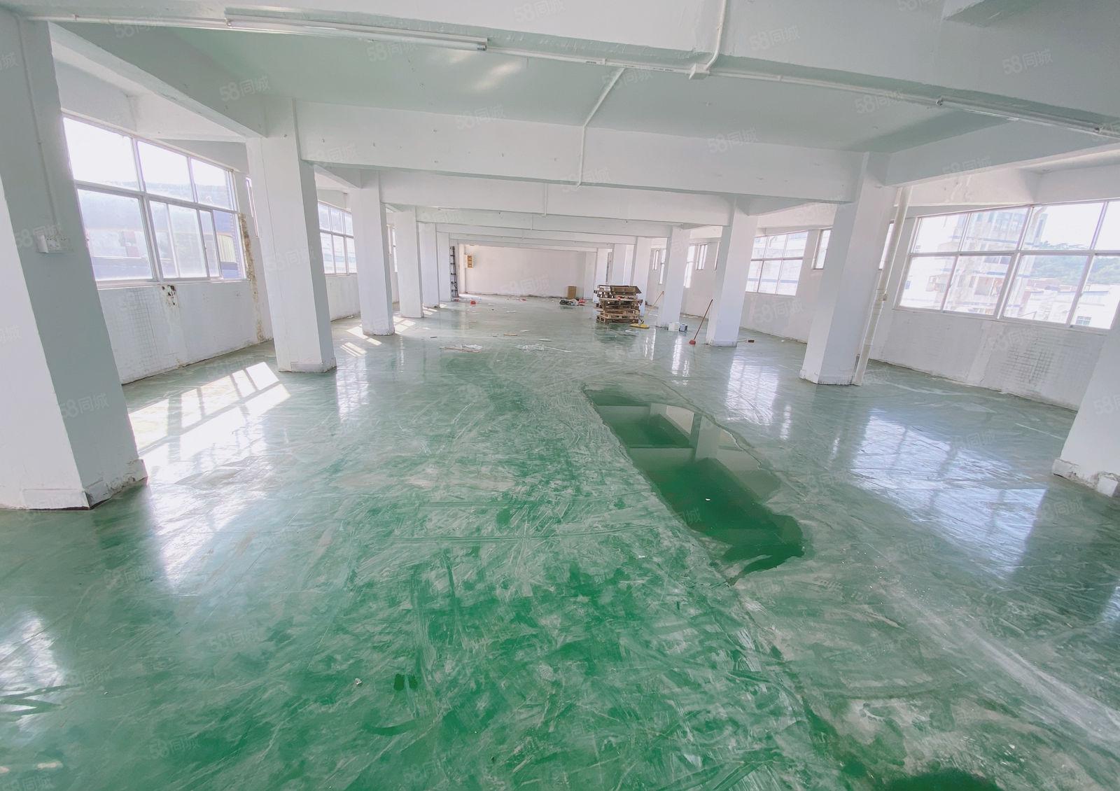 凤岗雁田自家厂房现成水电办公室600平租金16 可谈