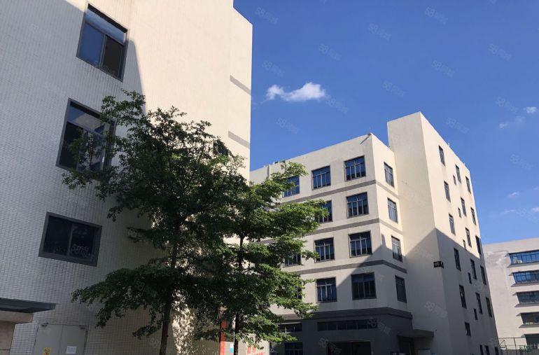 500平起租12元凤岗原房东一二楼6000平租精装修全新地坪