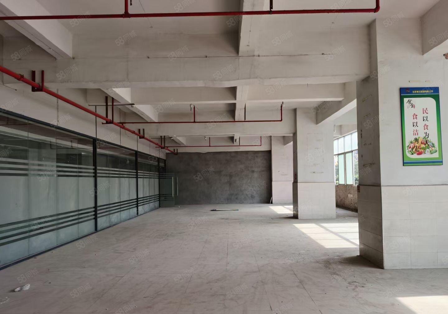 凤岗金凤凰雁田精装写字楼简装写字楼出租，大小分租。