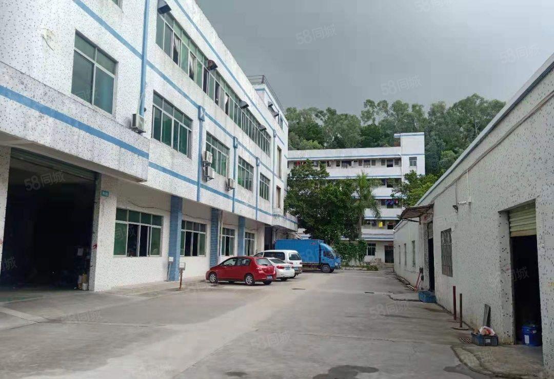 凤岗官井头小布工业区独院1600平一楼标准仓库厂房出租可分租