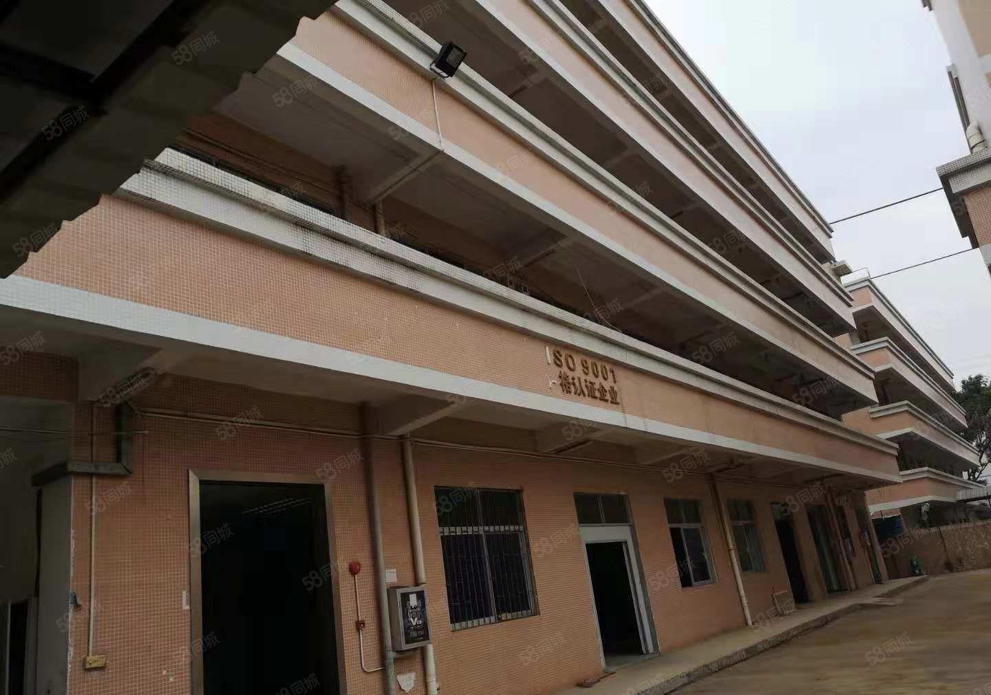 凤岗新出！4500平方米独院厂房带精装修水电齐全