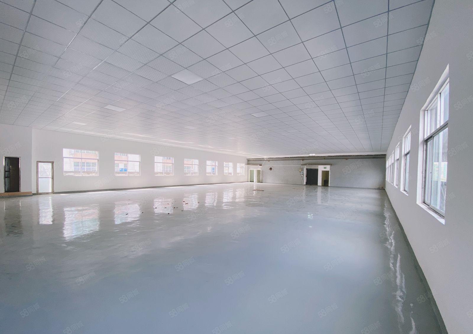 凤岗金凤凰楼上1000平现成装修租金12可谈