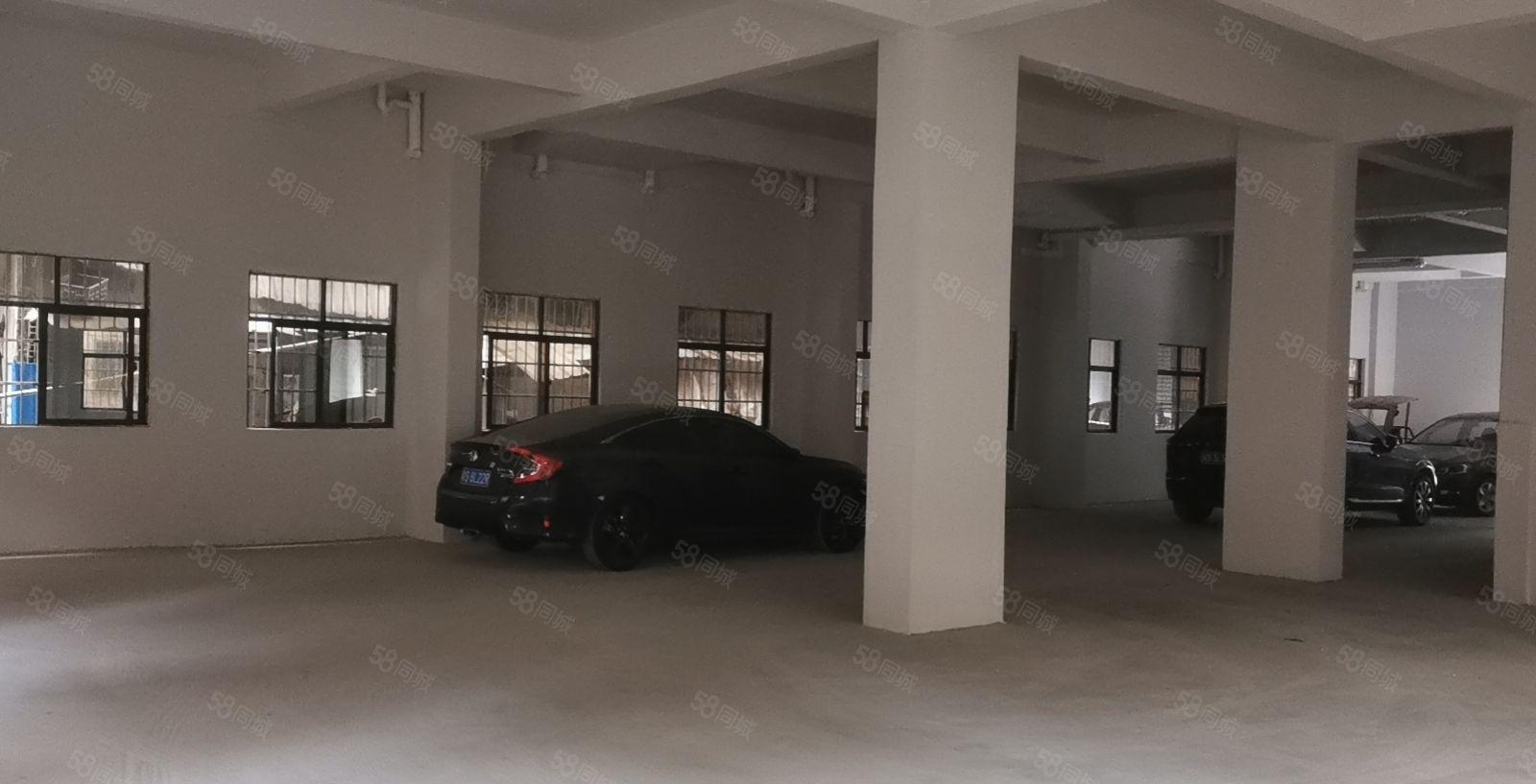 全新一楼560方出租！适合电商仓库办公等无污染小加工！