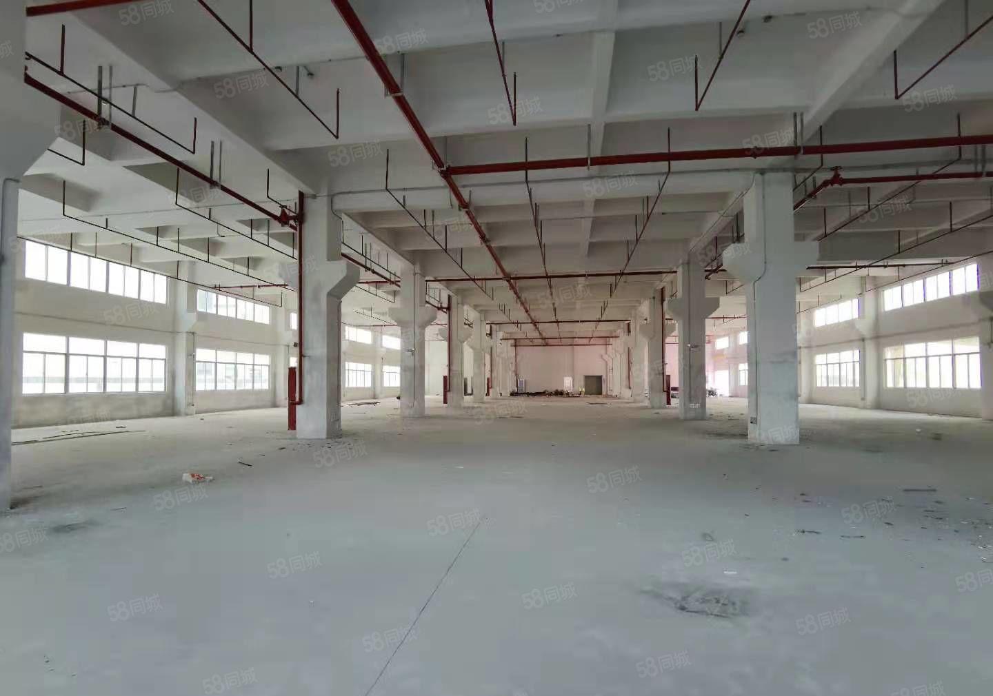 凤岗原业主独院15000平方面积实在大小可分厂房仓库出租