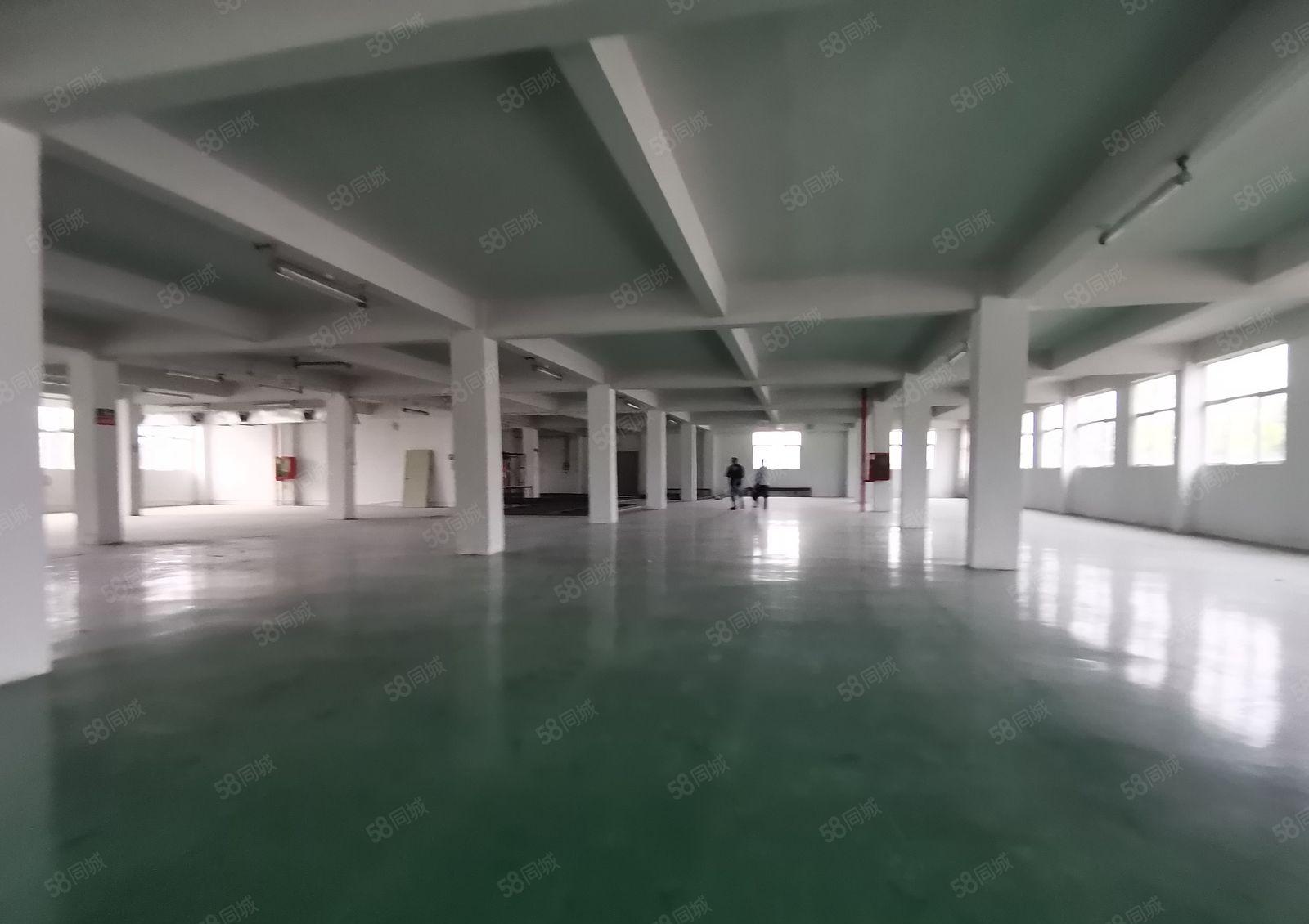 凤岗大龙工业区原房东2千平独栋仓库厂房出租可分租靠近主干道旁