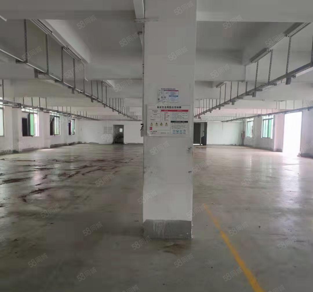 凤岗漂亮独院厂房2层钢构7000平方招租