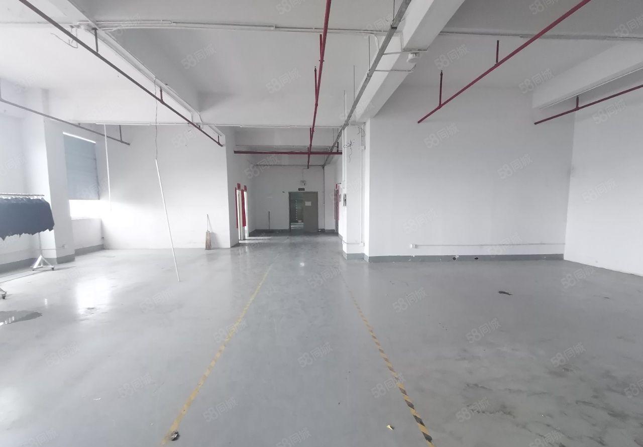 凤岗浸校塘楼上电商仓库厂房出租930平 现成水电装修免费用