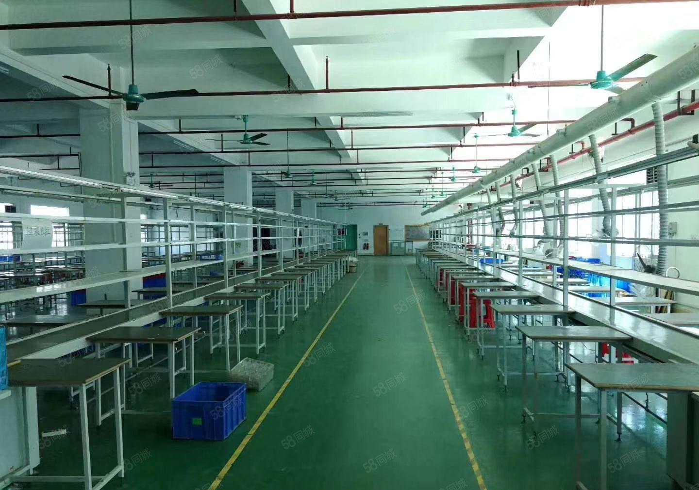 凤岗金凤凰新出三楼1500平方厂房火爆招租