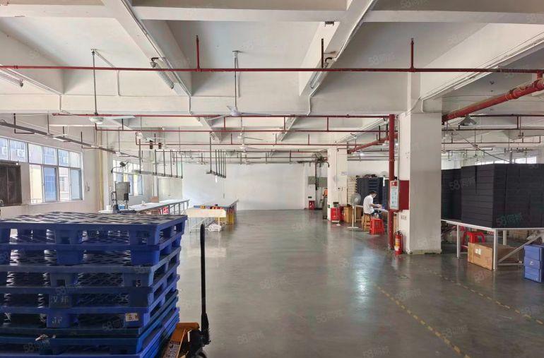 电子拎包入驻行业厂房出租雁田楼上850平米 靠近平湖 带装修