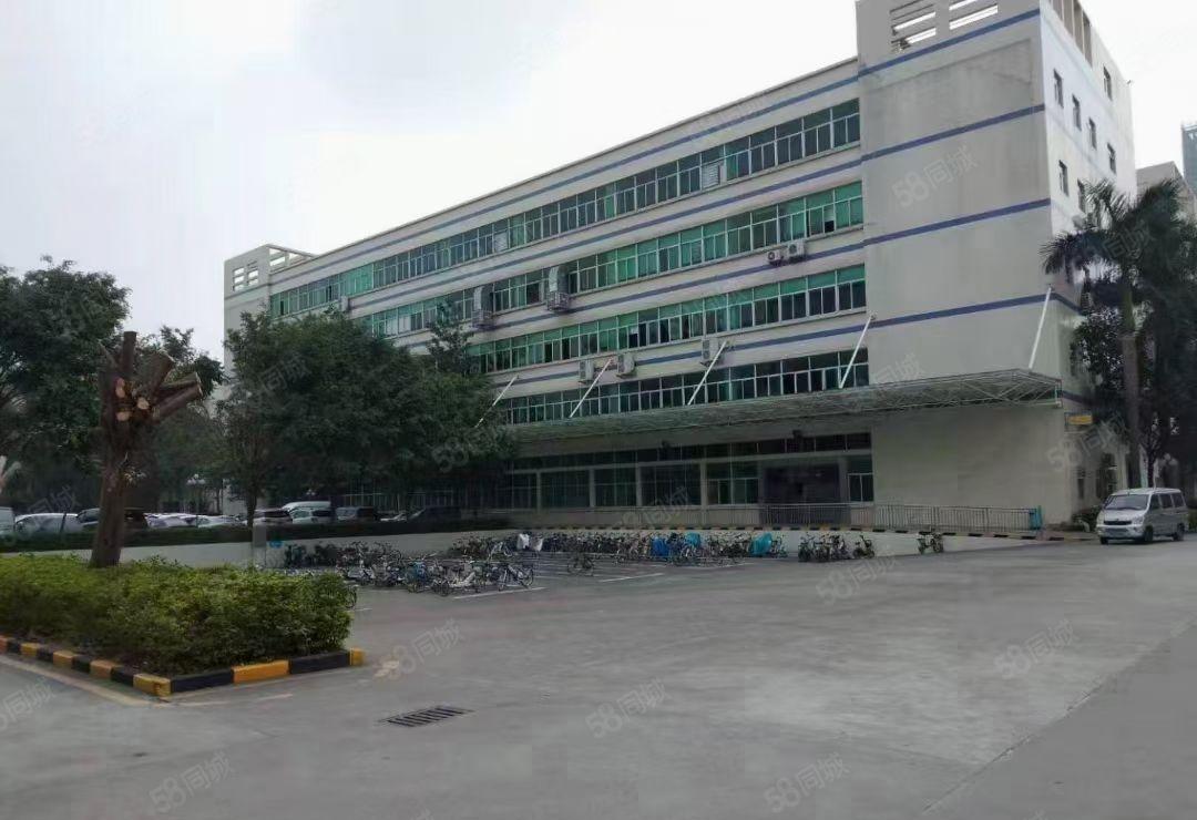 凤岗碧湖大道二楼2000平方带装修厂房出租