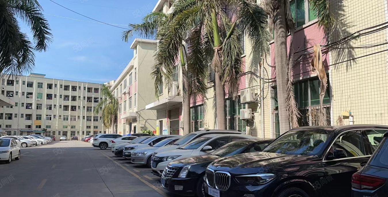 (临深)西旺工业区  一楼500平  6米高带办公室 厂房出