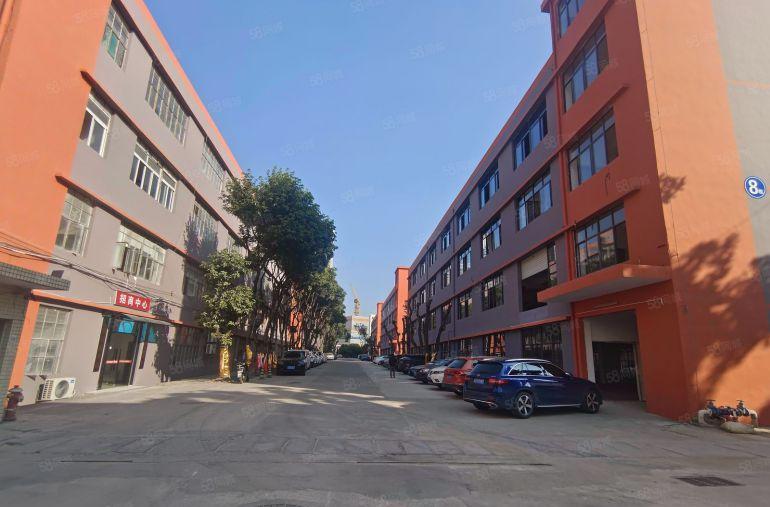 凤岗镇小独栋3000平方，价格13元，高度8米，形象好