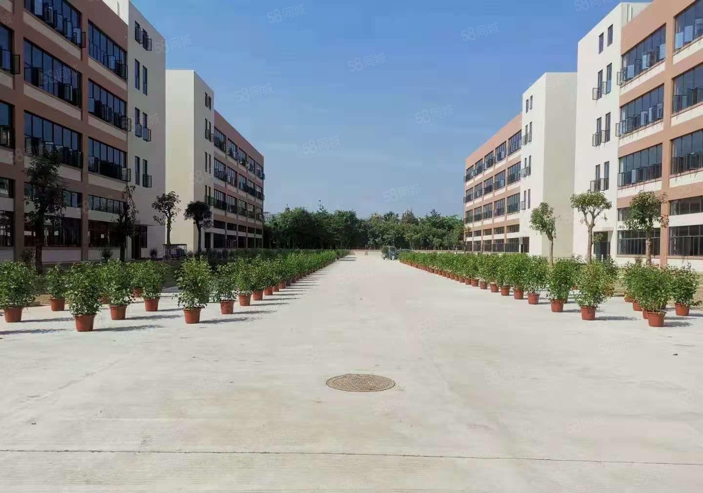 凤岗五联新出村委独栋8000平方大小可分厂房仓库出租