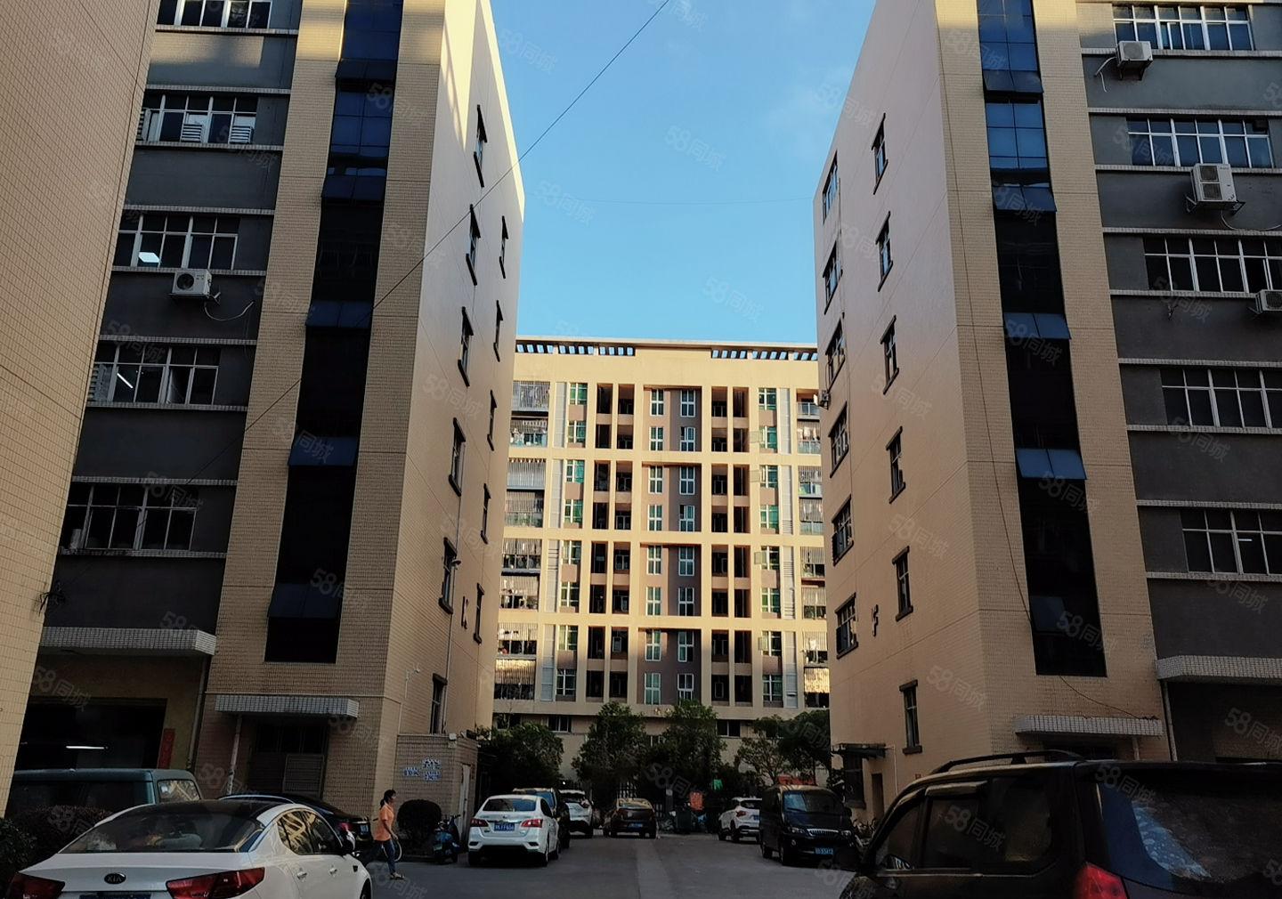 凤岗雁田布心新出4楼1000平方分租，厂房精装修，无转让费