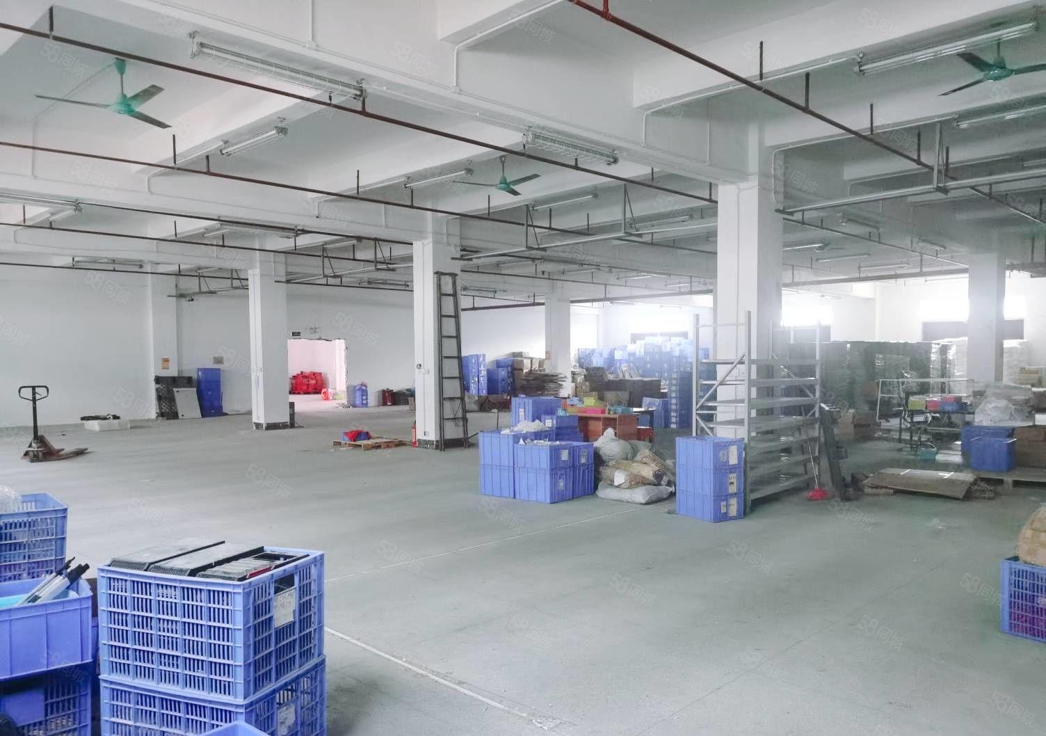 凤岗一楼厂房出租）新出2000平方米带装修带水电