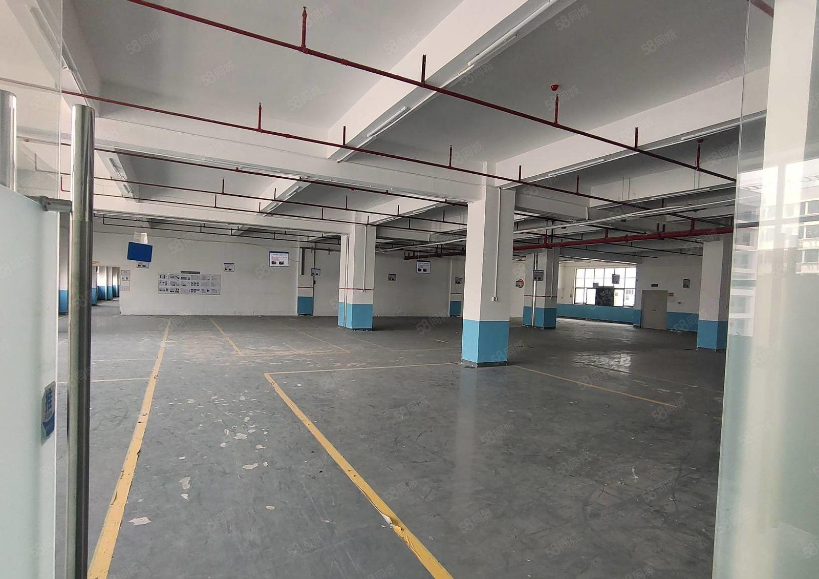 想要高端园区往这看整层3280平方7楼实际面积电子科研组装等