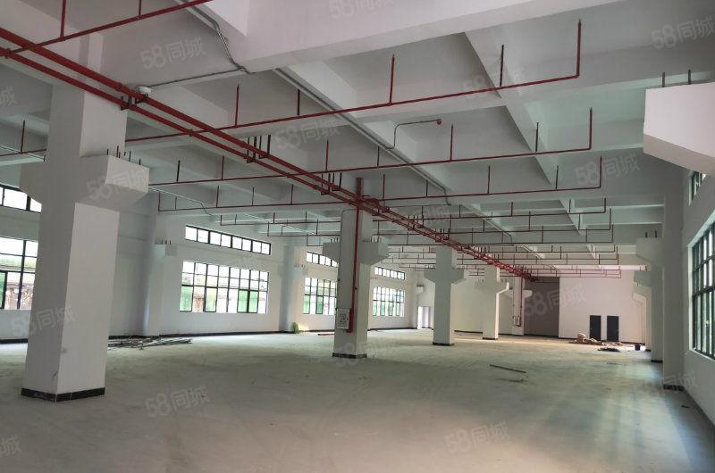 新出独院3800平方厂房出租可以分租