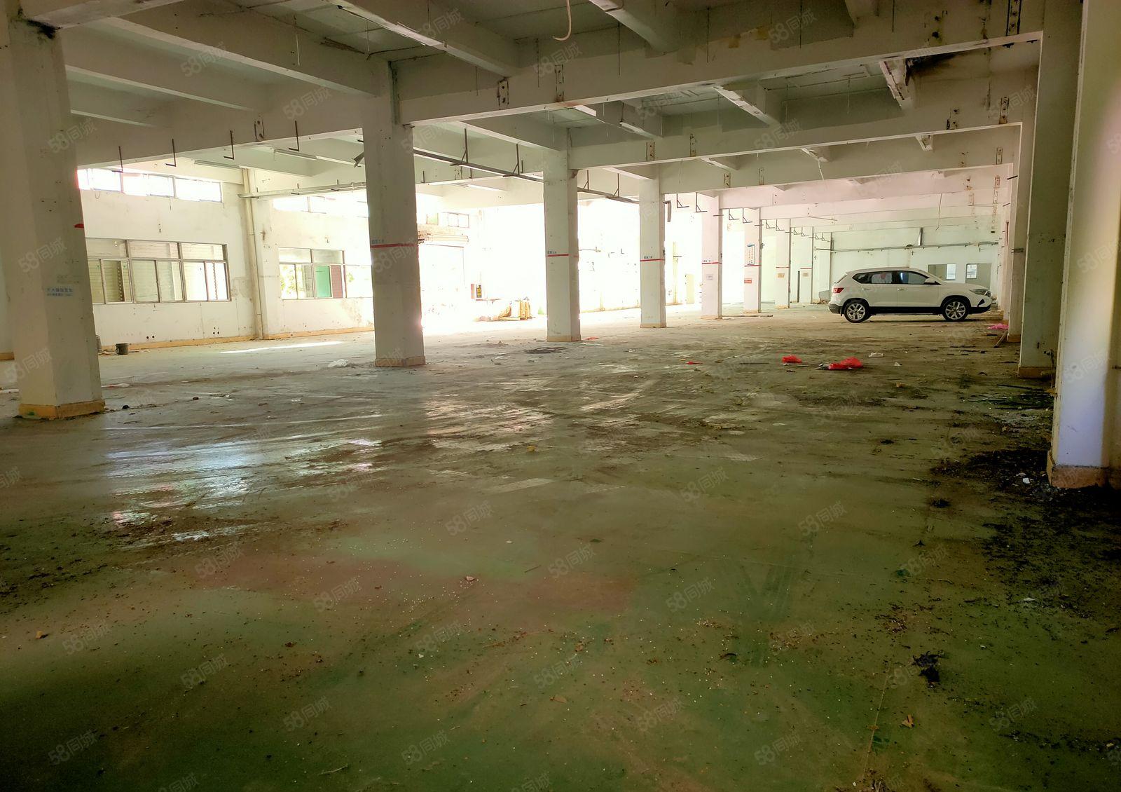 凤岗（临深）六米高一楼2000平花园式 厂房出租 带红本