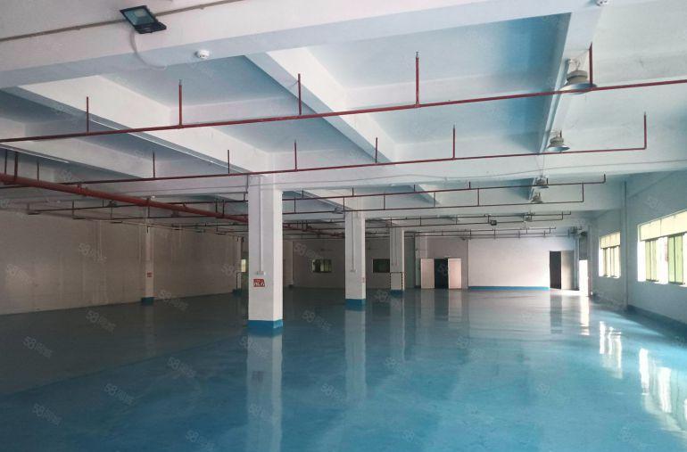 万江独门独院标准厂房出租，7800平米，有天然气，水电过户